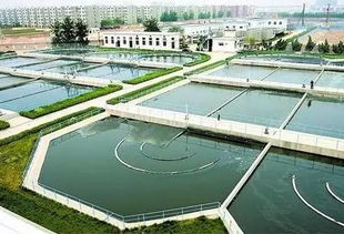 政策助推市场升温 我国污水处理迎来风口