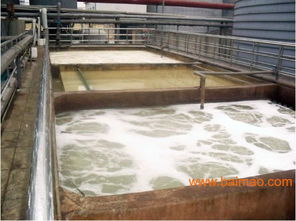 白酒废水处理技术与工程解决方案全解析